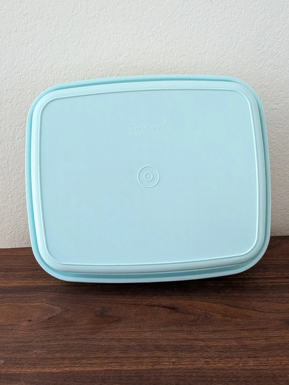 Vintage Tupperware MeatMarinade Container Season N Serve Aqua Mint # 1295-8